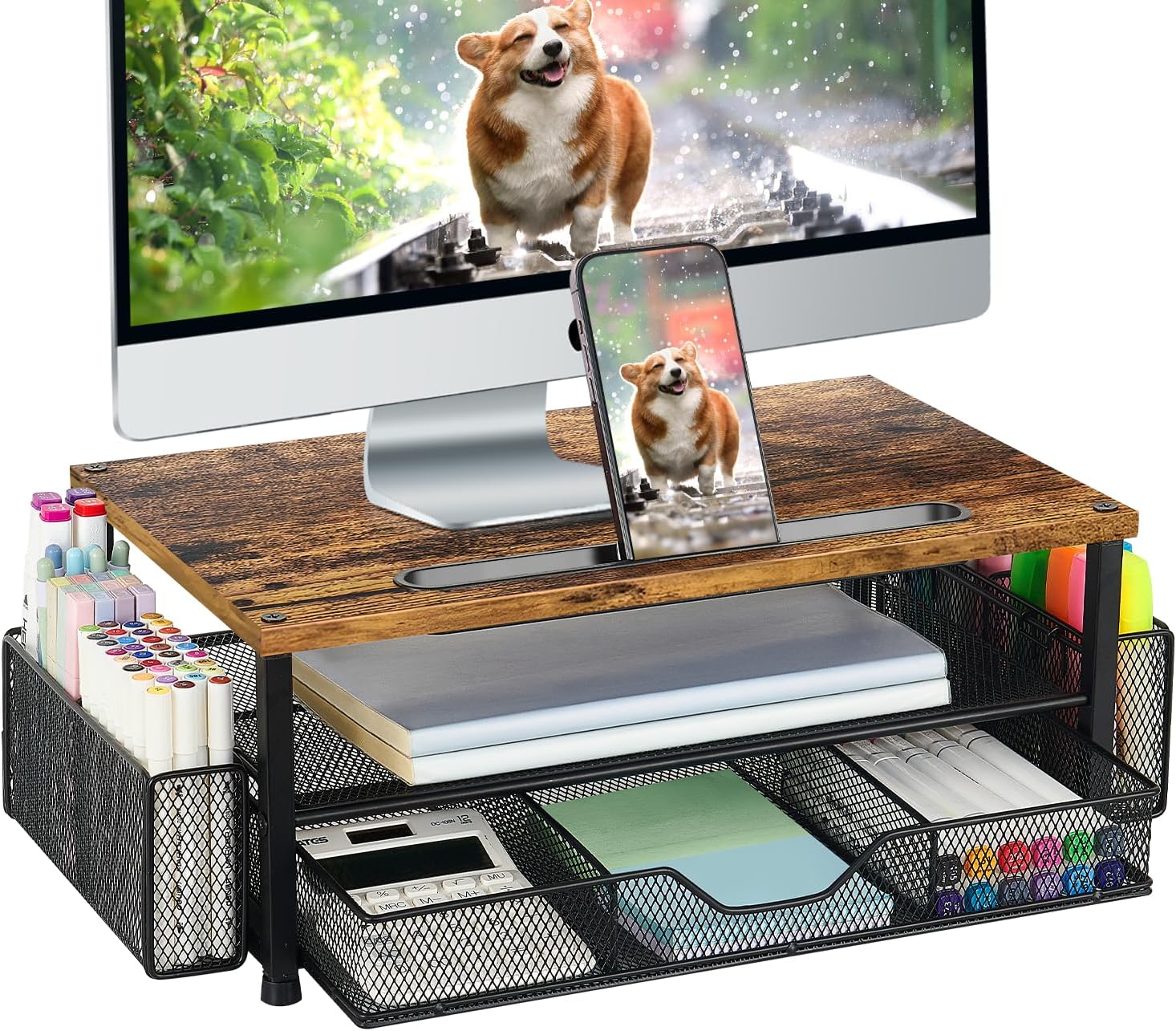 Furniture, Table, Coffee Table, Desk, Electronics, Screen, Computer Hardware, hardware, monitor, Computer, pc, Animal, Canine, Dog, Mammal, pet