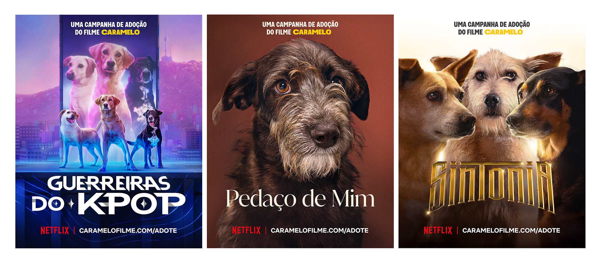  Book, Publication, Animal, Canine, Dog, Mammal, pet, Advertisement, Poster, Hound, Terrier