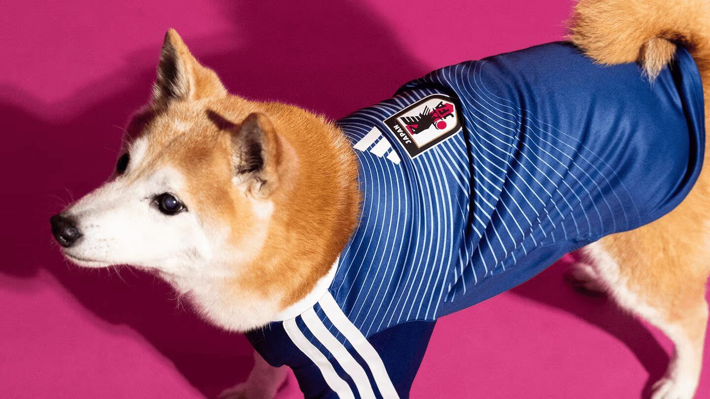 Animal, Canine, Dog, Husky, Mammal, pet