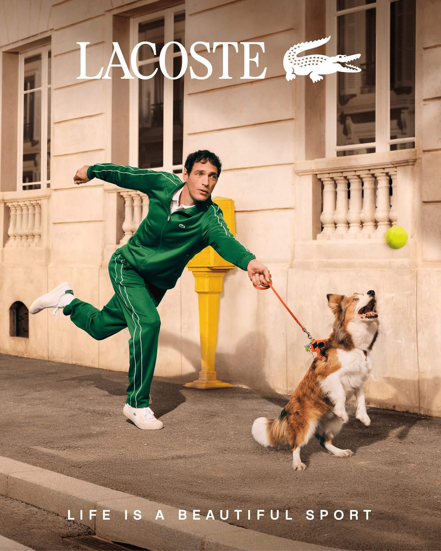  Accessories, Strap, Person, Walking, Ball, Sport, Tennis, Tennis Ball, face, Head, Photography, Portrait, Animal, Canine, Dog, Mammal, pet, Clothing, Pants, Dinosaur, Reptile, Hoodie, Knitwear, Sweater, Sweatshirt, Advertisement, City